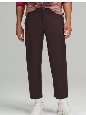 Lululemon Lab Pants Mens 38 Plum Wool-Blend Cargo Trousers Gorpcore Techwear